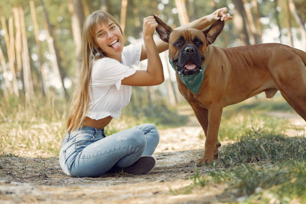istock Girl in a summer forest playing with dog 1325676288
