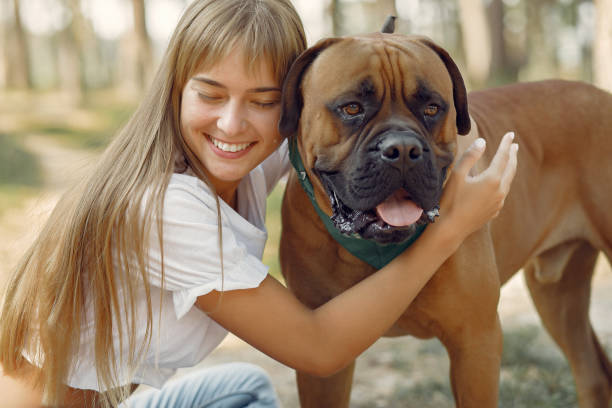 istock Girl in a summer forest playing with dog 1325676291
