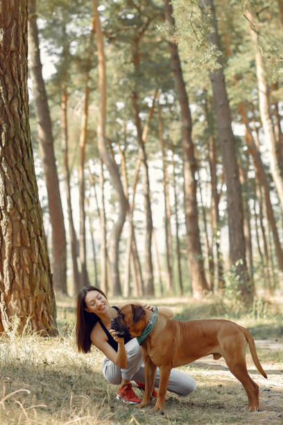 istock Girl sitting in a forest and playing with dog 1325676337