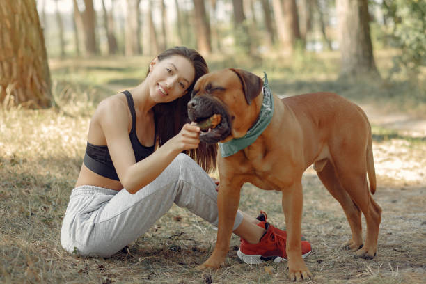 istock Girl sitting in a forest and playing with dog 1325676343