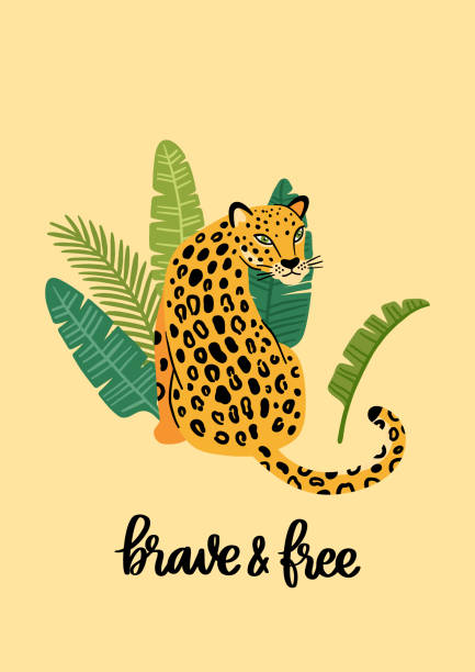 Poster template with leopard and exotic tropical plants, with hand-drawn phrase: Brave and free. Beautiful animal print design for home decor. Modern vector illustration. jaguar stock illustrations