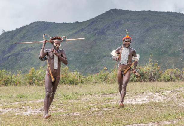 dani tribe people in Baliem Valley Baliem Valley, West Papua, Indonesia, February 15th, 2016: dani tribe people of Baliem Valley in their traditional outfits, demonstrating their skills koteka stock pictures, royalty-free photos & images