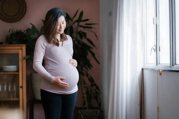 Portrait of happy young Asian pregnant woman standing by the window, looking down thoughtfully while cradling her baby bump in the living room at cozy home. Mother-to-be. Expecting a new life concept