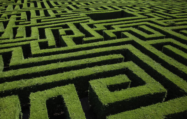 grüne büsche labyrinth - labyrinth stock-fotos und bilder