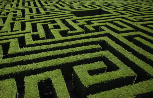 grüne büsche labyrinth - labyrinth von oben stock-fotos und bilder