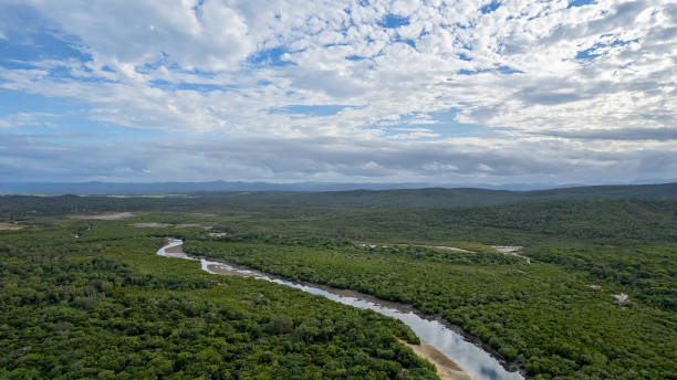 istock High Aerial Of Creek 1325682569