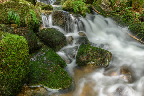 istock Mountain torrent in the Vosges. 1325685229