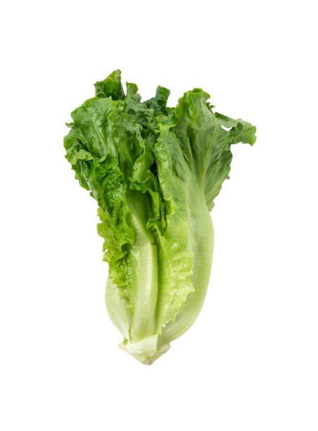 istock Organic lettuce vegetable salad on isolated white background 1325687025