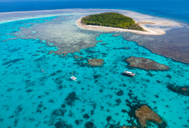 Lady Musgrave Island, Southern Barrier Reef, Queensland Australia Stunning Coral Reef Lagoon. great barrier reef stock pictures, royalty-free photos & images