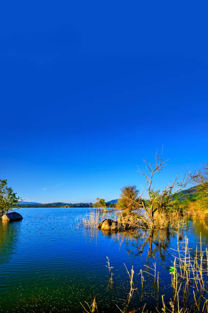 istock Bright lake water In the summer Bright blue sky 1325689092