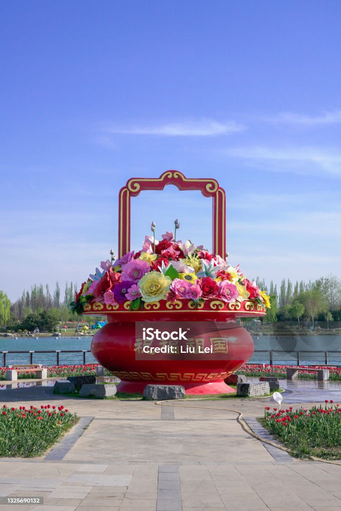 Tulips blooming in Beijing International Flower Port, China. Colorful flower beds at International Flower Port Beauty Stock Photo