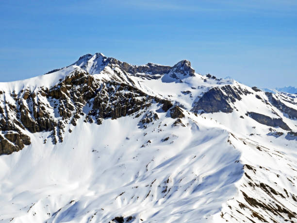 snowy alpine mountain peaks wildhorn and mont pucel located in the bernese alps massif (seen from the sex rouge glacier), les diablerets - canton of vaud, switzerland (suisse / schweiz) - wildhorn imagens e fotografias de stock