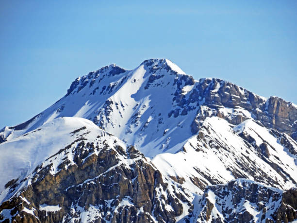 nevado pico de montaña alpina wildhorn situado en el macizo de los alpes berneses (visto desde el glaciar sex rouge), les diablerets - cantón de vaud, suiza (suisse / schweiz) - wildhorn fotografías e imágenes de stock