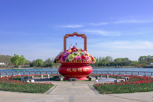 Tulips blooming in Beijing International Flower Port, China. Colorful flower beds at International Flower Port