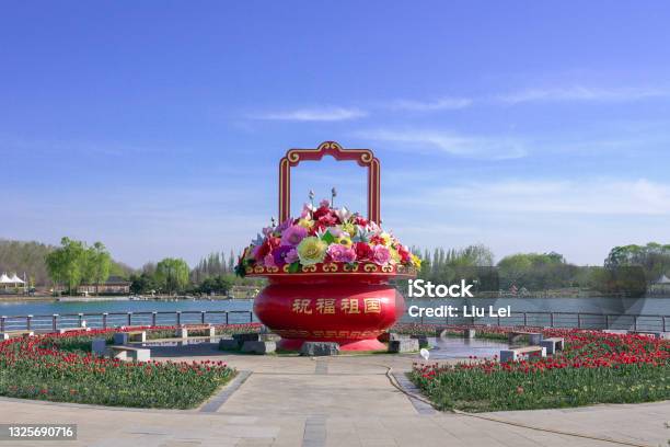 Tulips Blooming In Beijing International Flower Port China Colorful Flower Beds At International Flower Port Stock Photo - Download Image Now