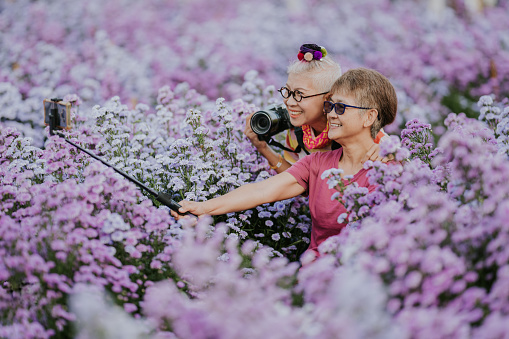 Eccentric senior women while traveling flower garden with friends-stock photo