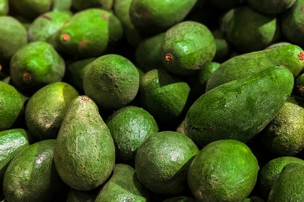 свежие авокадо свалили на рынке. пищевая бакалея. урожай - avocado australia crop farm стоковые фото и изображения
