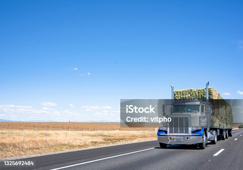 istock Big rig blue and white semi truck transporting mown hay pressed into bales on flat bed semi trailer running on the flat highway road 1325692484