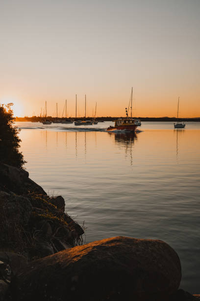 barcos y yates sentados en el río al atardecer cerca de la marina de yamba en el río clarence. - yamba fotografías e imágenes de stock