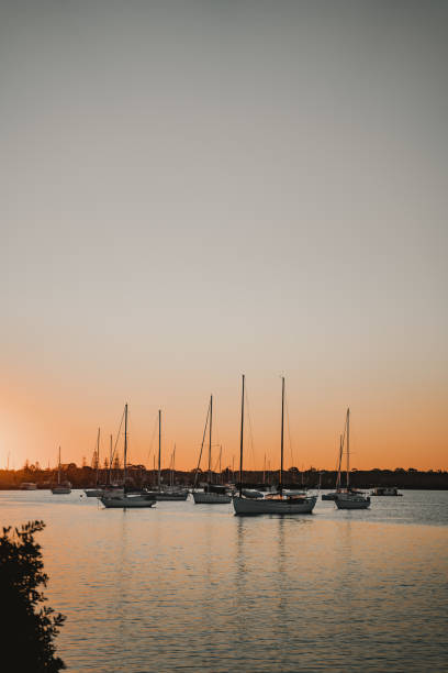 boats and yachts sitting on the river at sunset near the yamba marina on the clarence river. - yamba imagens e fotografias de stock