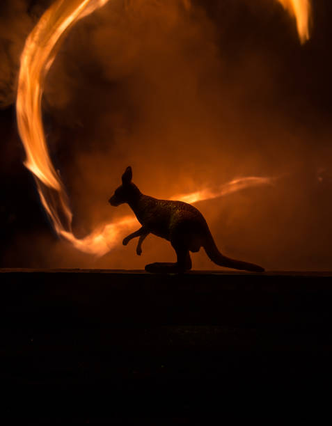 istock Kangaroo miniature standing at foggy night. Creative table decoration with colorful backlight with fog. 1325694730