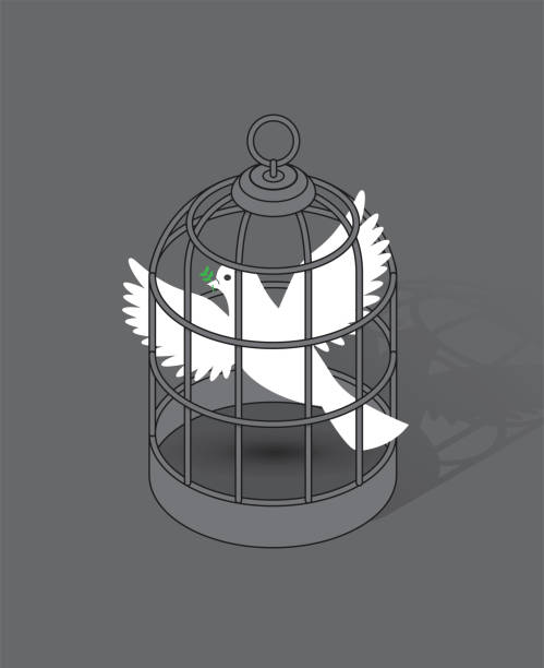 White Dove Holding Olive Branch Caged in a Birdcage Conflict War and Peace Vector illustration of a white dove holding olive branch trapped, caged in a birdcage. War and peace, freedom, conflict, world peace concept illustration. war bird stock illustrations