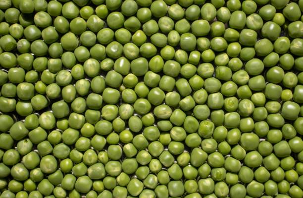 istock Fresh and Organic Green Pea Seed Background and Wallpaper 1325696704
