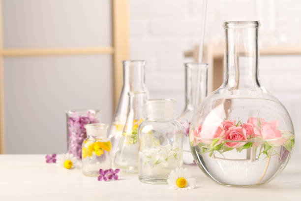 istock Laboratory glassware with flowers on white wooden table. Extracting essential oil for perfumery and cosmetics 1325698663