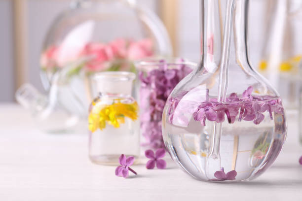 istock Laboratory glassware with flowers, focus on flask. Extracting essential oil for perfumery and cosmetics 1325698768