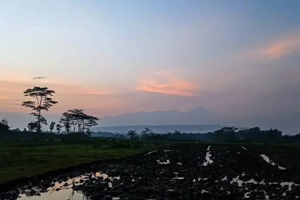 Photo of together enjoy the atmosphere of the sunrise in the rice fields