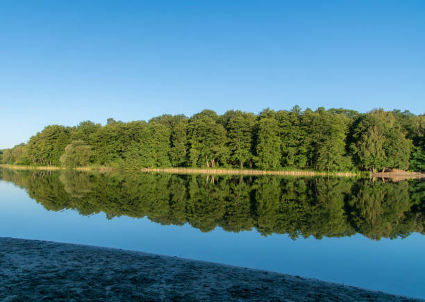 Scenic View Of Lake Against Clear Sky Photo taken in Berlin, Germany grunewald berlin stock pictures, royalty-free photos & images