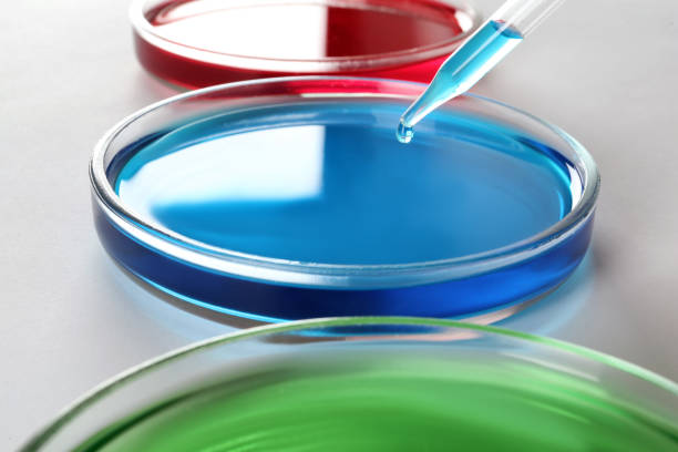 istock Dripping light blue liquid into Petri dish on white background, closeup 1325699899