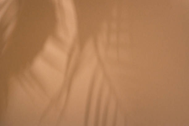 istock Shadows of tropical leaves on a light brown background. Top view, flat lay 1325701931