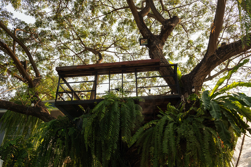 cabin aerial viewpoint on big tree with plant decoration. Modern garden exterior and design.