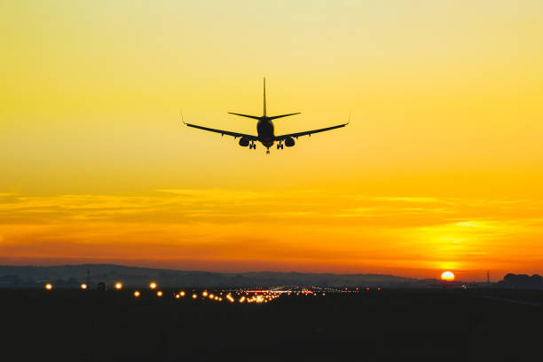 istock Airplane landing on the runway during sunset and dusk 1325705468