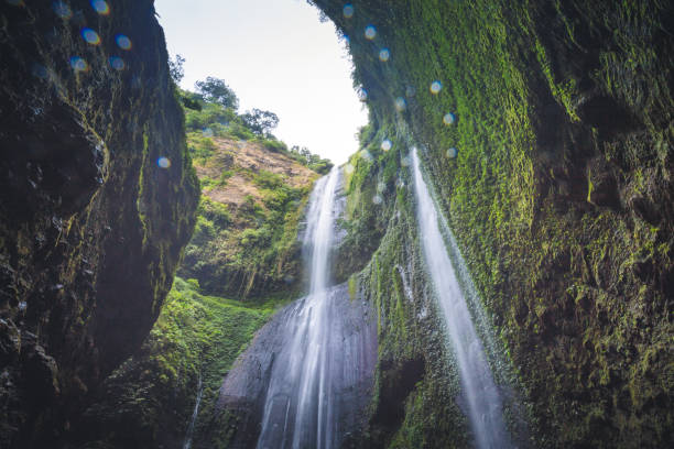 istock Beautiful Highly waterfall in green forest in jungle rainforest,Bali ,indonesia 1325710501