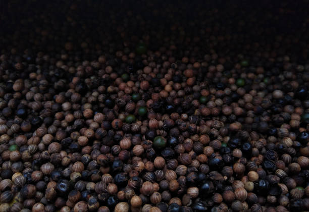 schwarzer pfefferhintergrund, rohe pfefferkörner, würzige lebensmittelzutaten, nahansicht - directly above macro pepper black peppercorn stock-fotos und bilder