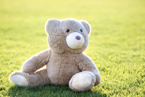 istock Cute teddy bear toy sitting on green grass in summer. 1325718547