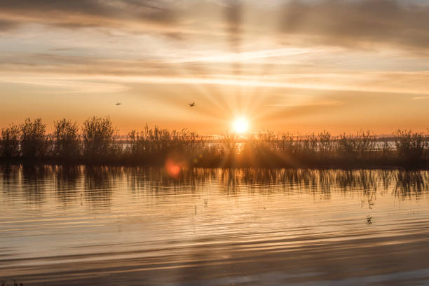istock Sunset and Reflection at a Lake in Latvia 1325719554