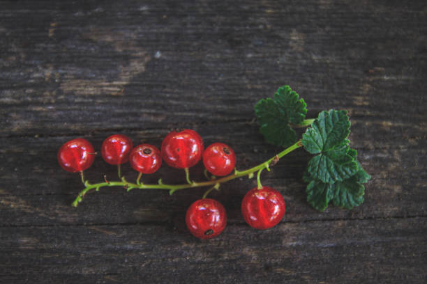 istock juicy fresh red currants on a dark old wooden background, top view 1325720855