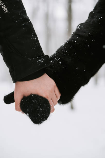 istock A man holds a woman's hand in a mitten close-up 1325724089