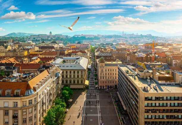 istock Top view of Istvan Square 1325725938