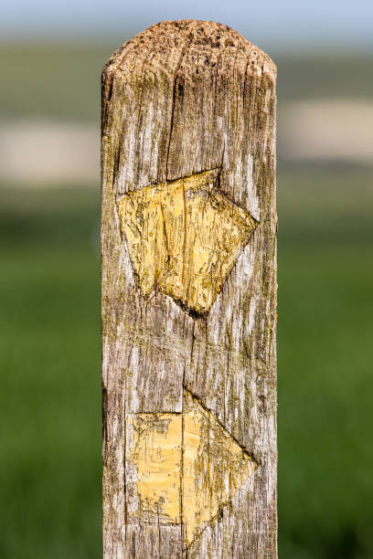 istock Arrows on a Sign Post in the Countryside 1325727810