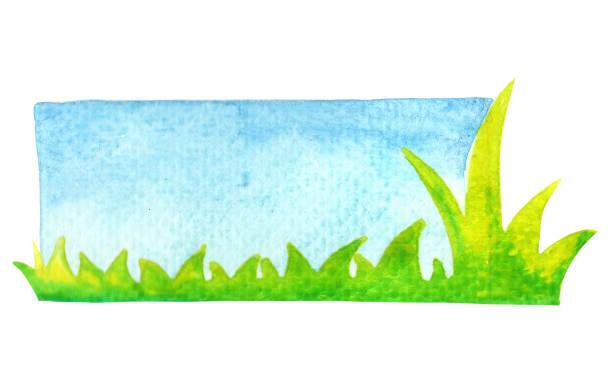 istock Meadow green grass with blue sky watercolor banner for decoration on summer, nature and landscape concept. 1325728789