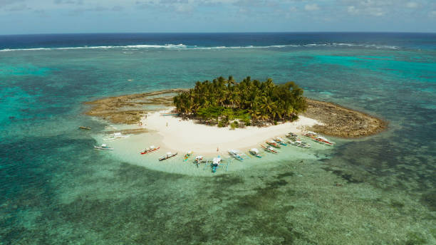 istock Tropical Daco Island with a sandy beach and tourists 1325730349