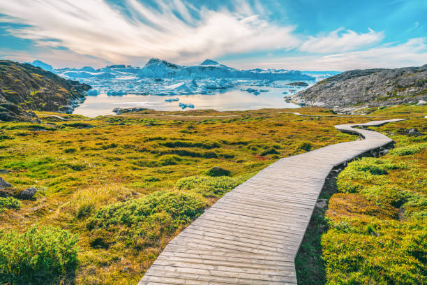 Hiking trail path in Greenland arctic nature landscape with icebergs in Ilulissat icefjord Hiking trail path in Greenland arctic nature landscape with icebergs in Ilulissat icefjord. Photo of scenery ice and iceberg in Greenland in summer. ilulissat photos stock pictures, royalty-free photos & images