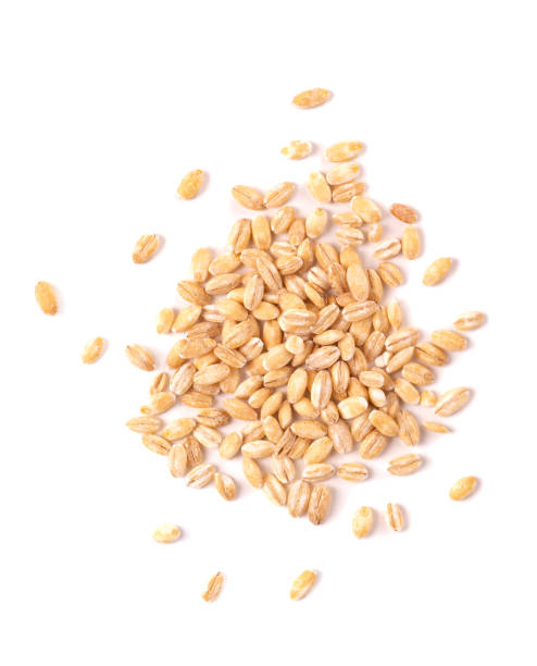 istock Pearl barley grains, isolated on white background. Barley seed close up. Top view. 1325732188
