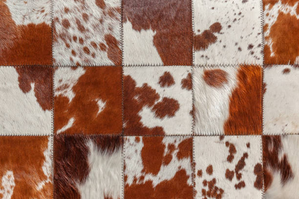 Cowhide of simmental cattle