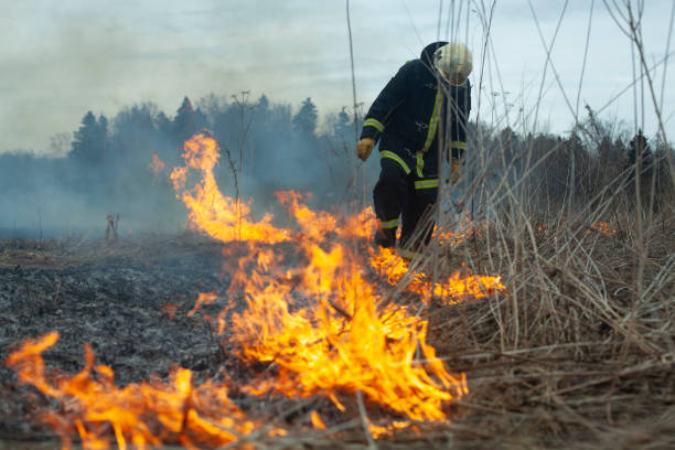 istock A firefighter extinguishes dry grass. A firefighter is fighting a fire in an open area. 1325735848