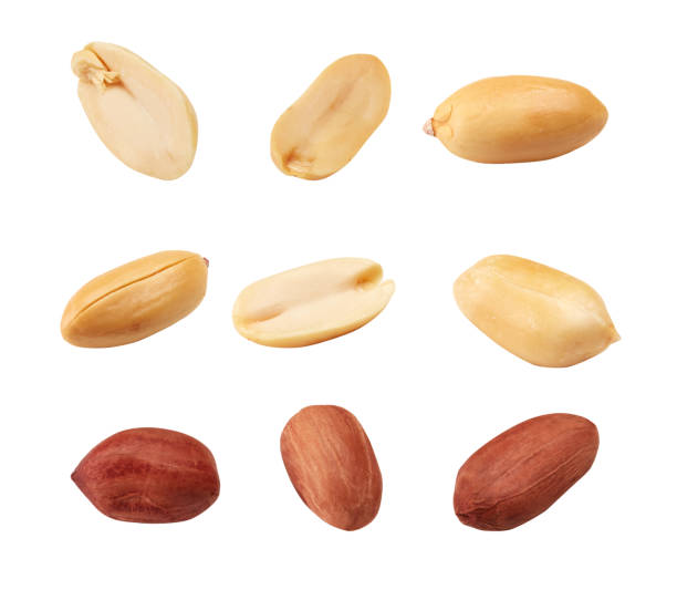 collection of peanuts isolated on white background - peanut food snack healthy eating imagens e fotografias de stock